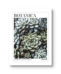 Botanica