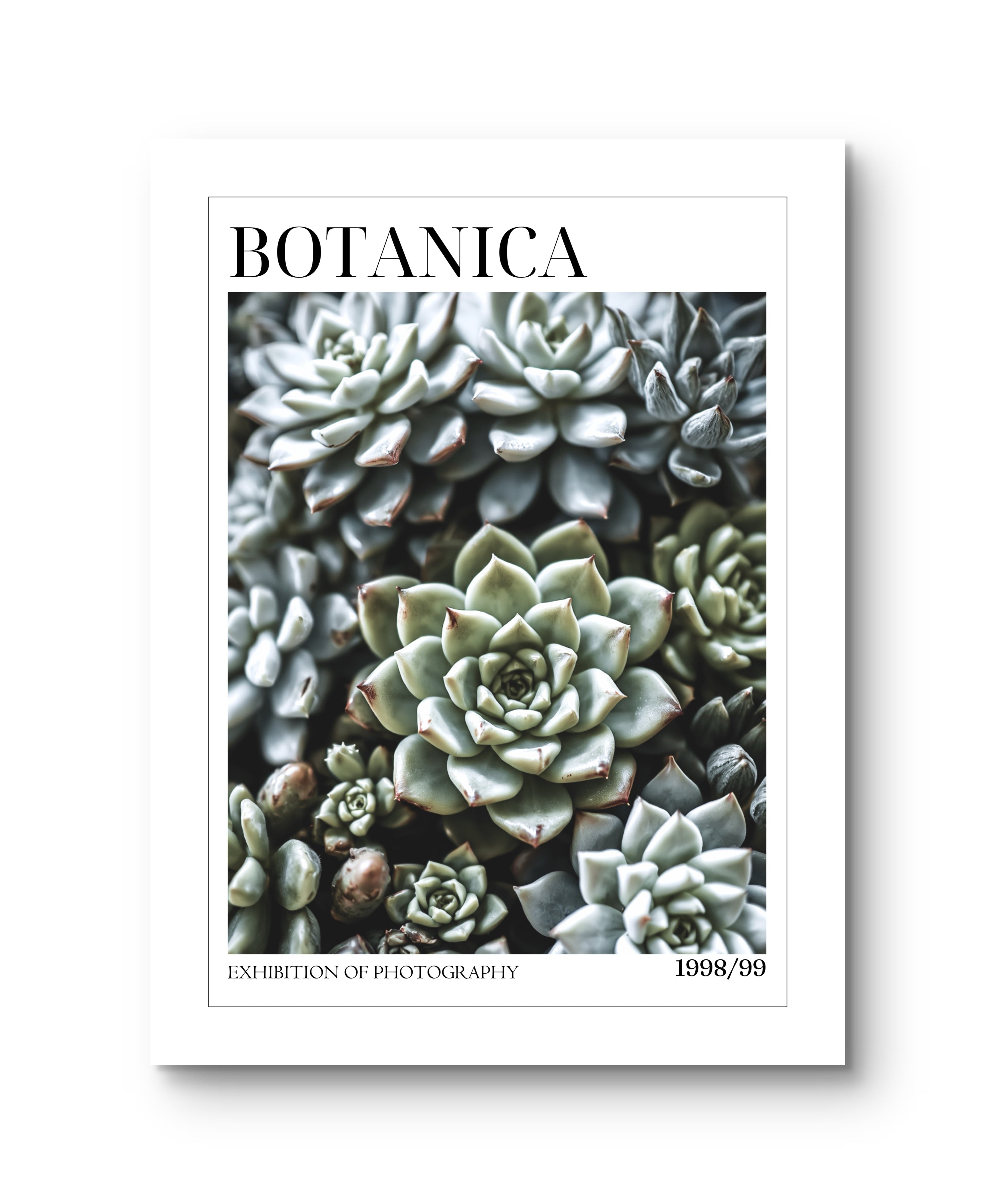 Botanica