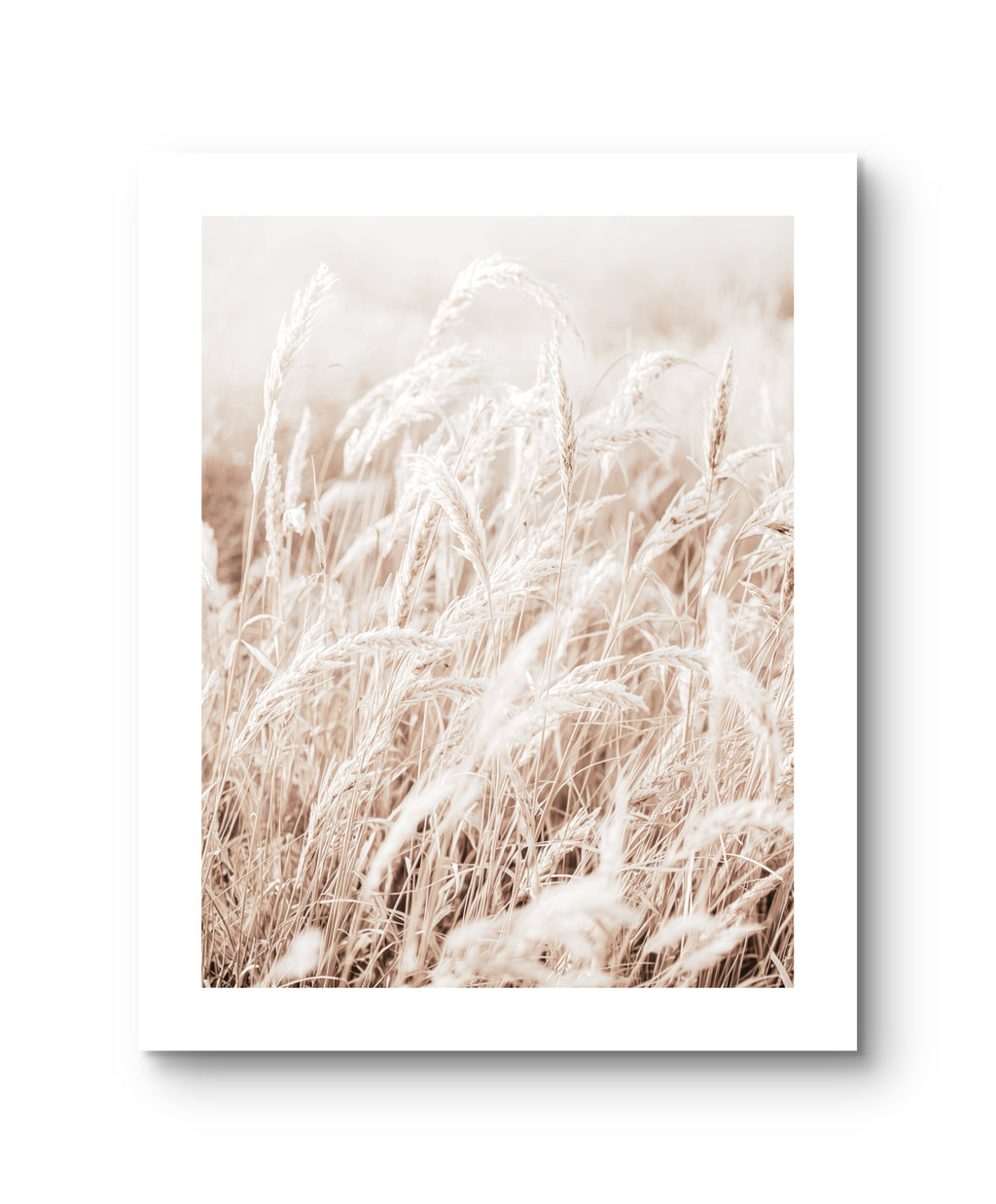 Light Grain