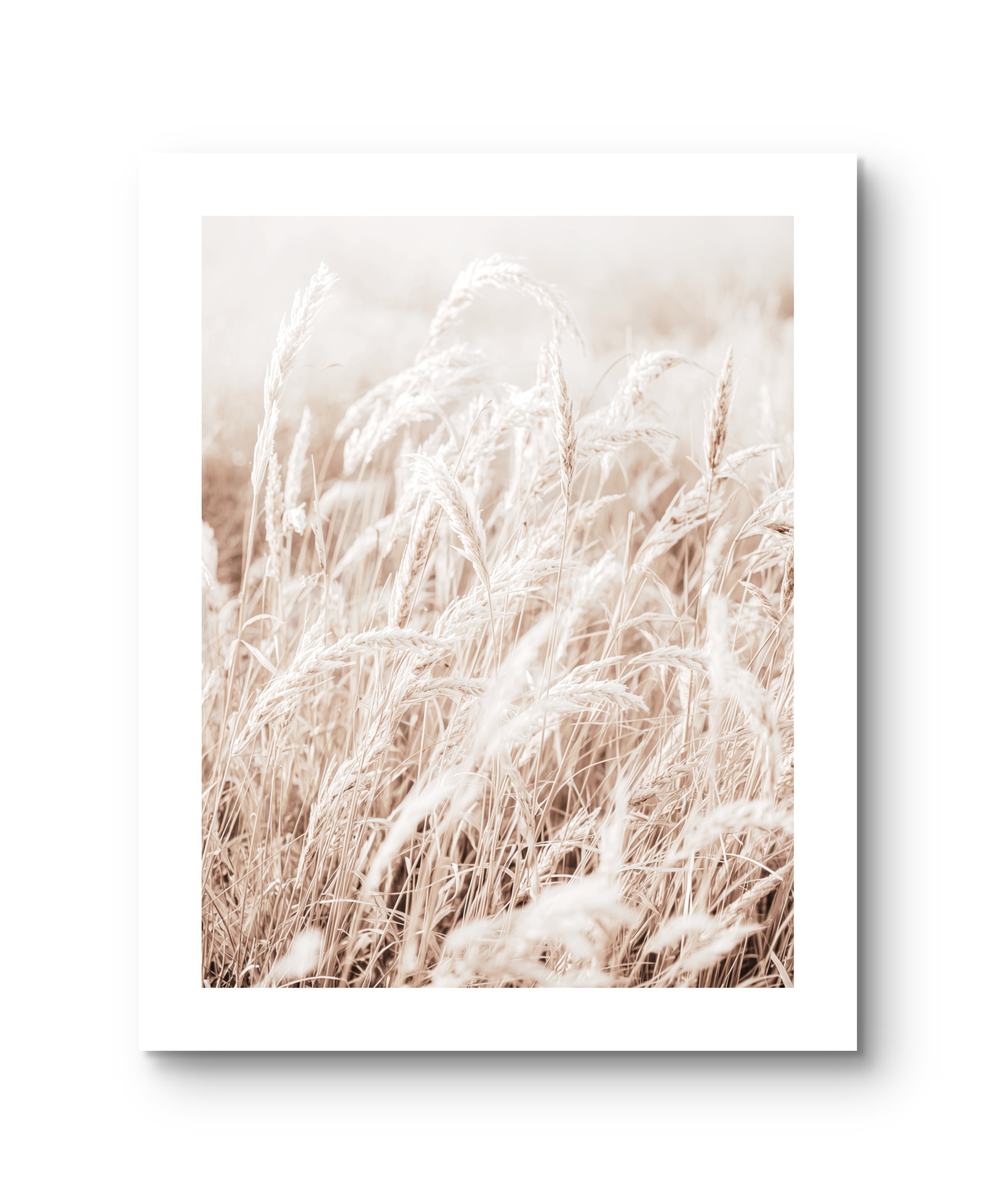 Light Grain