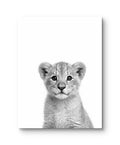 Wildlife Baby