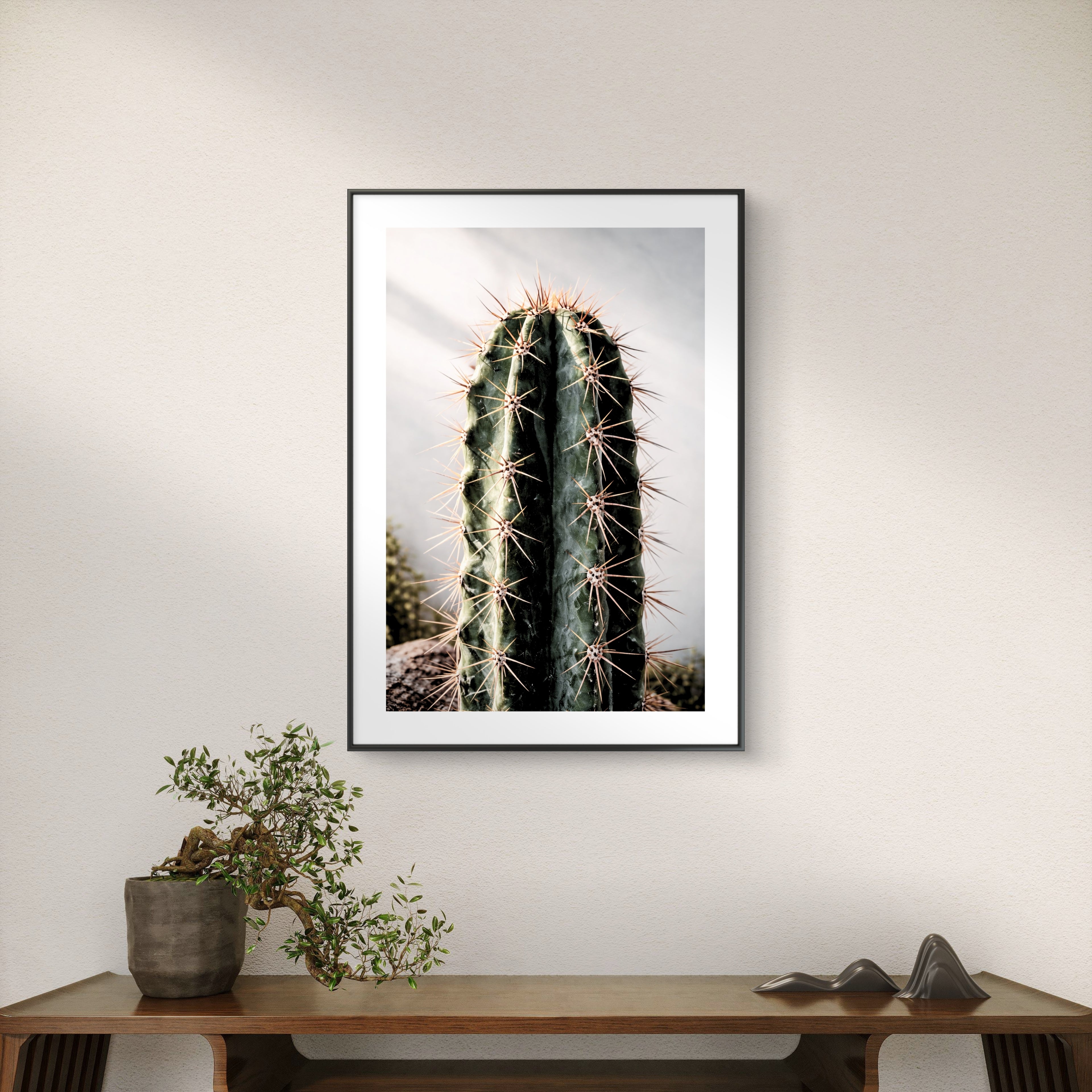 Cactus Giants
