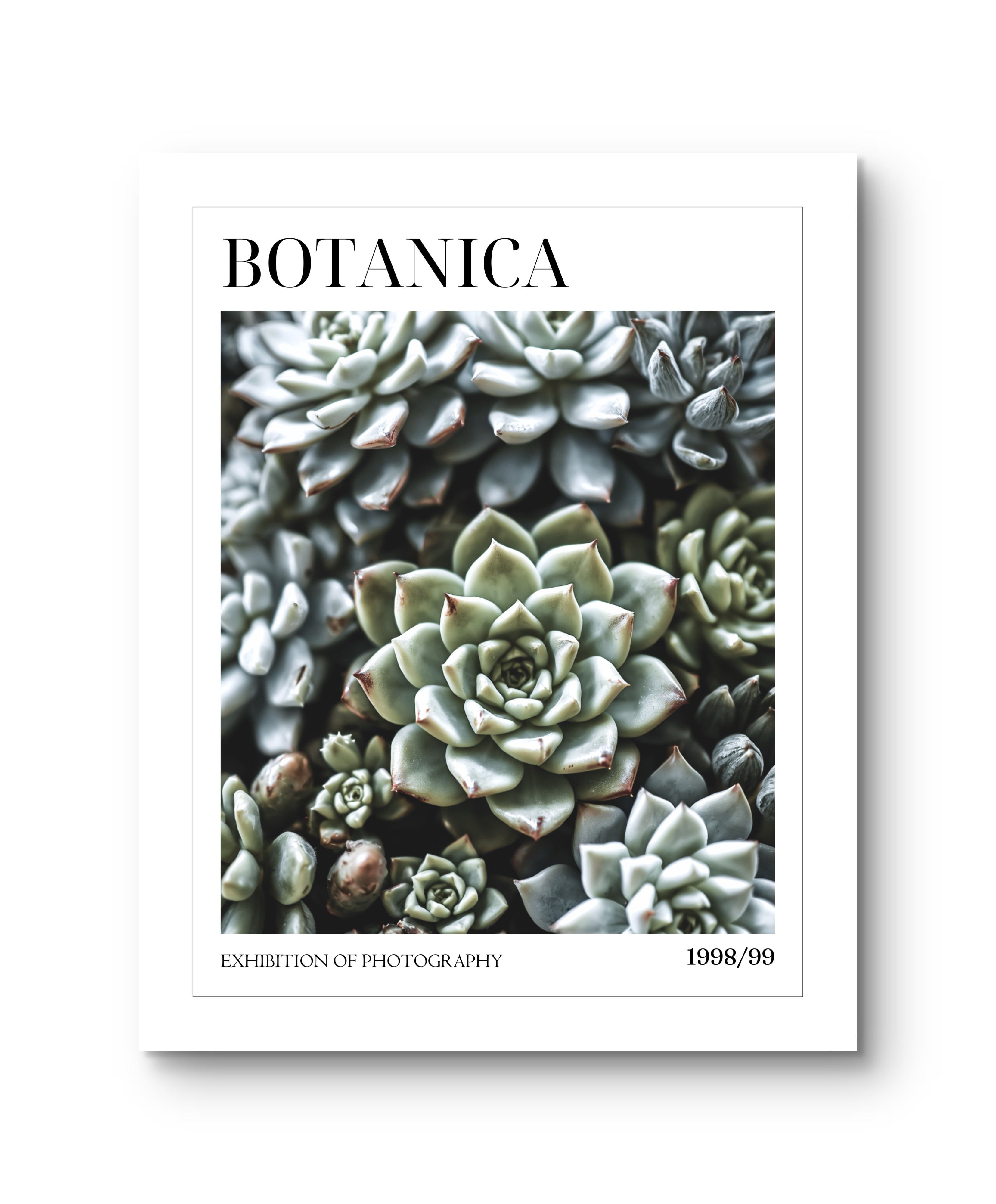 Botanica