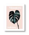 Monstera Blatt