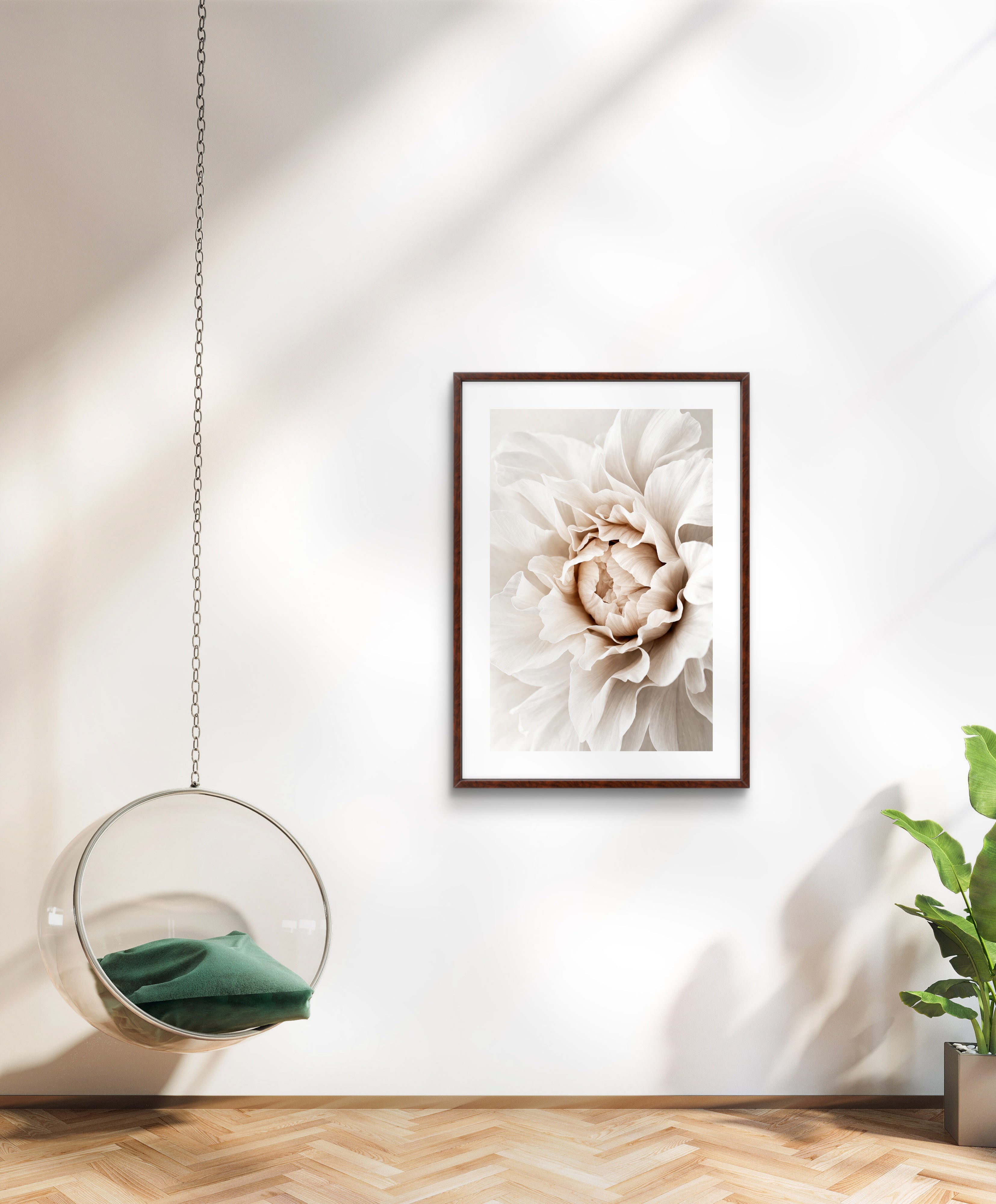 Beige Peonie