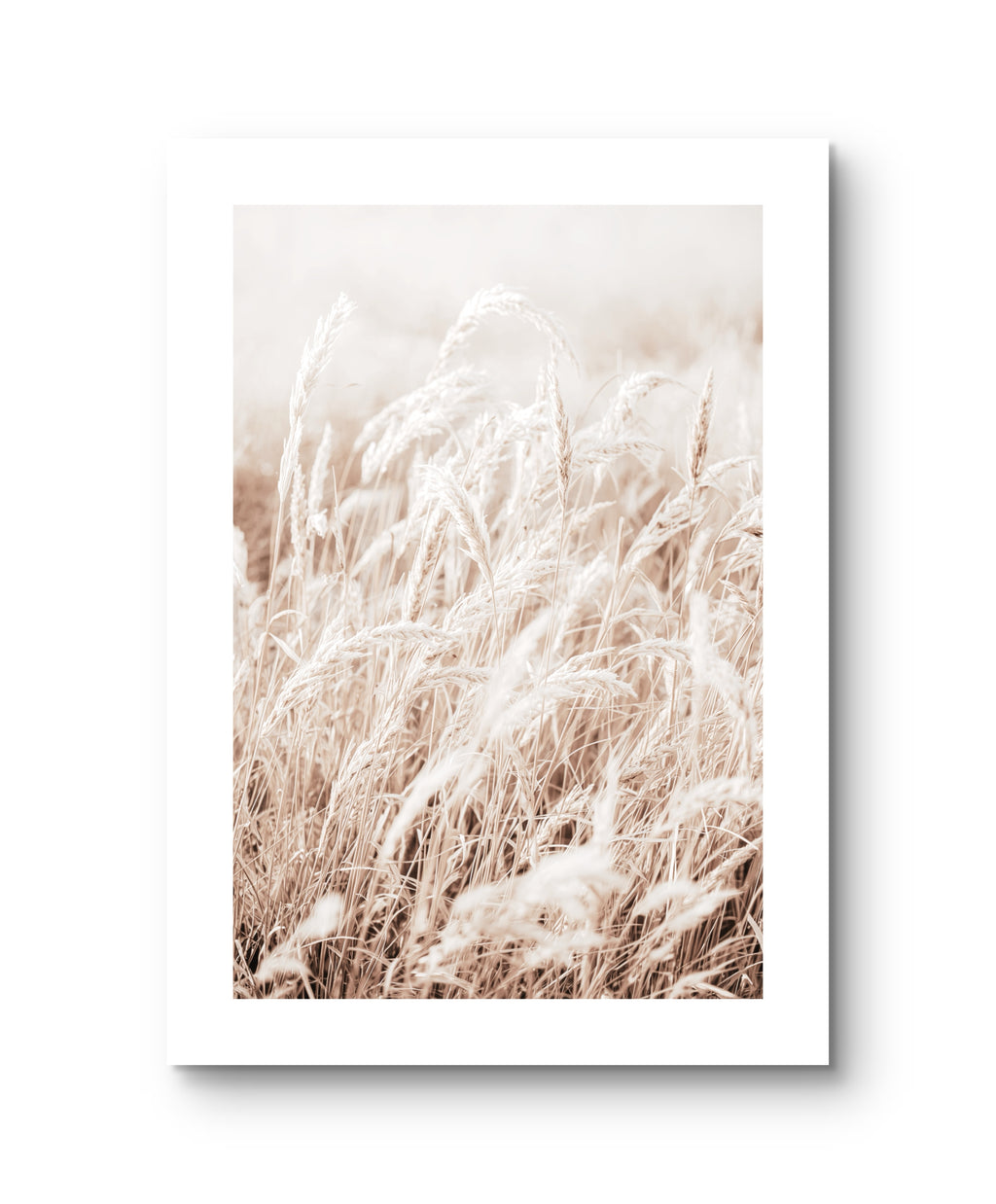 Light Grain