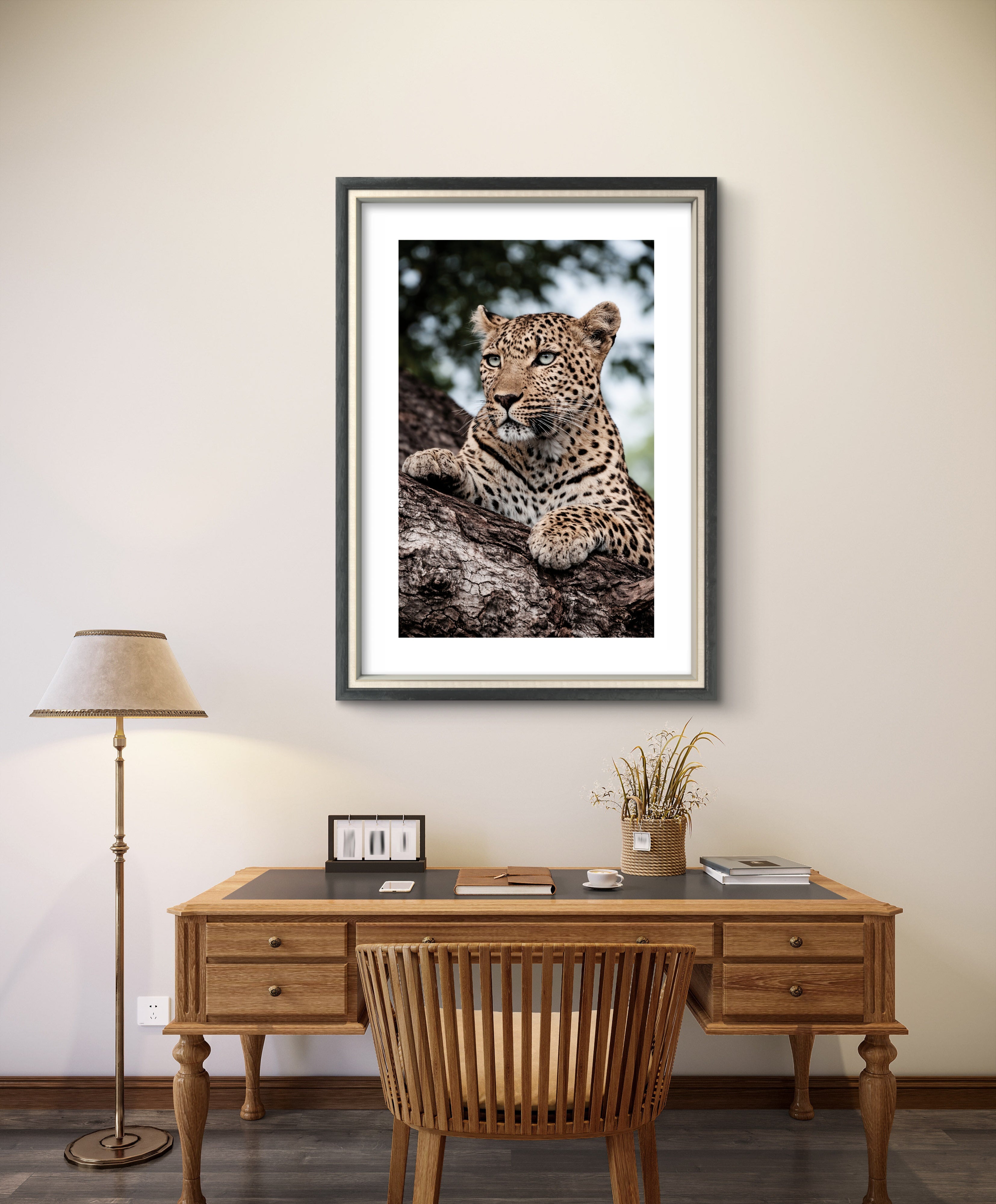 Leopard