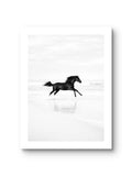 Black Horse