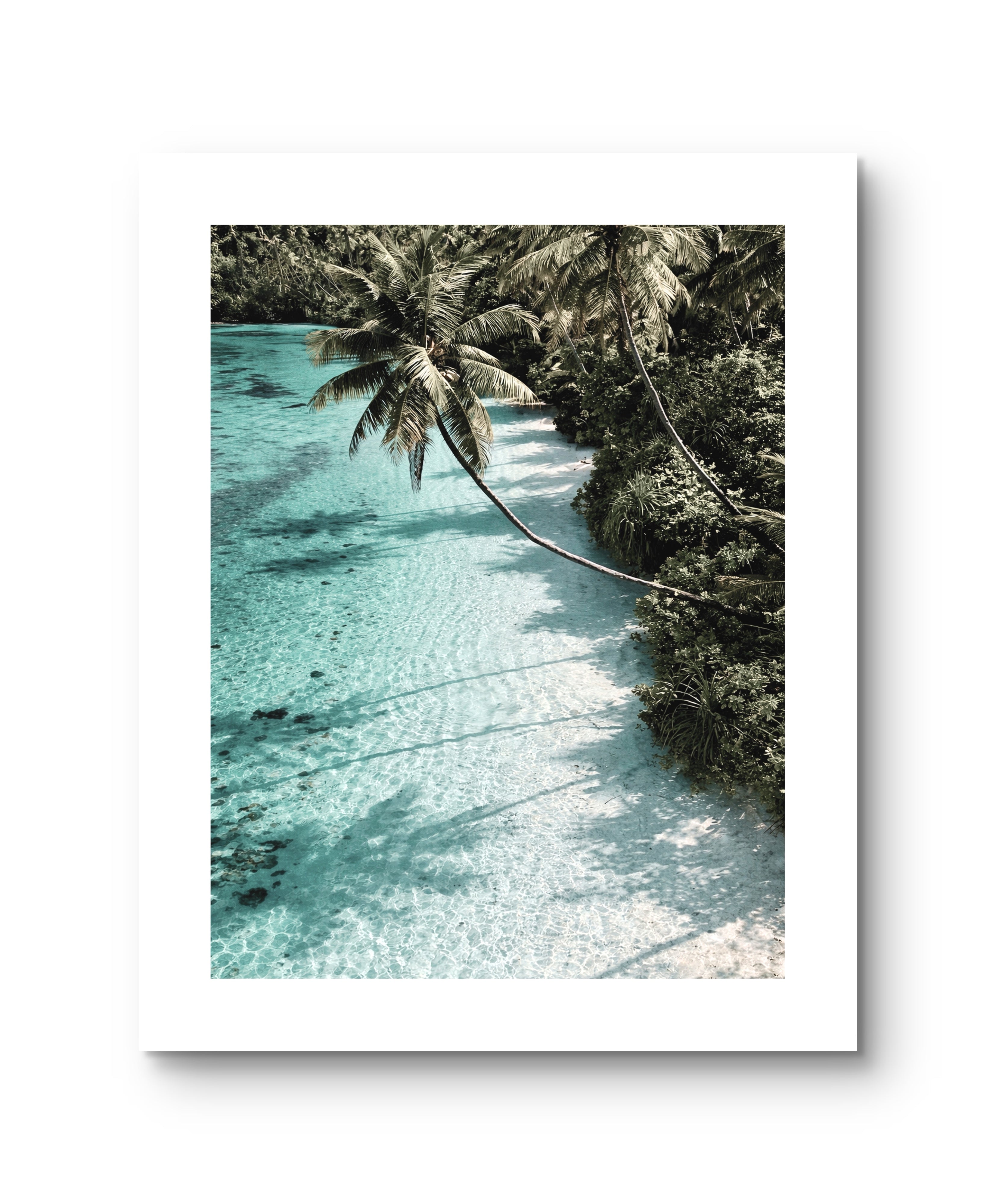 Ocean Tropical