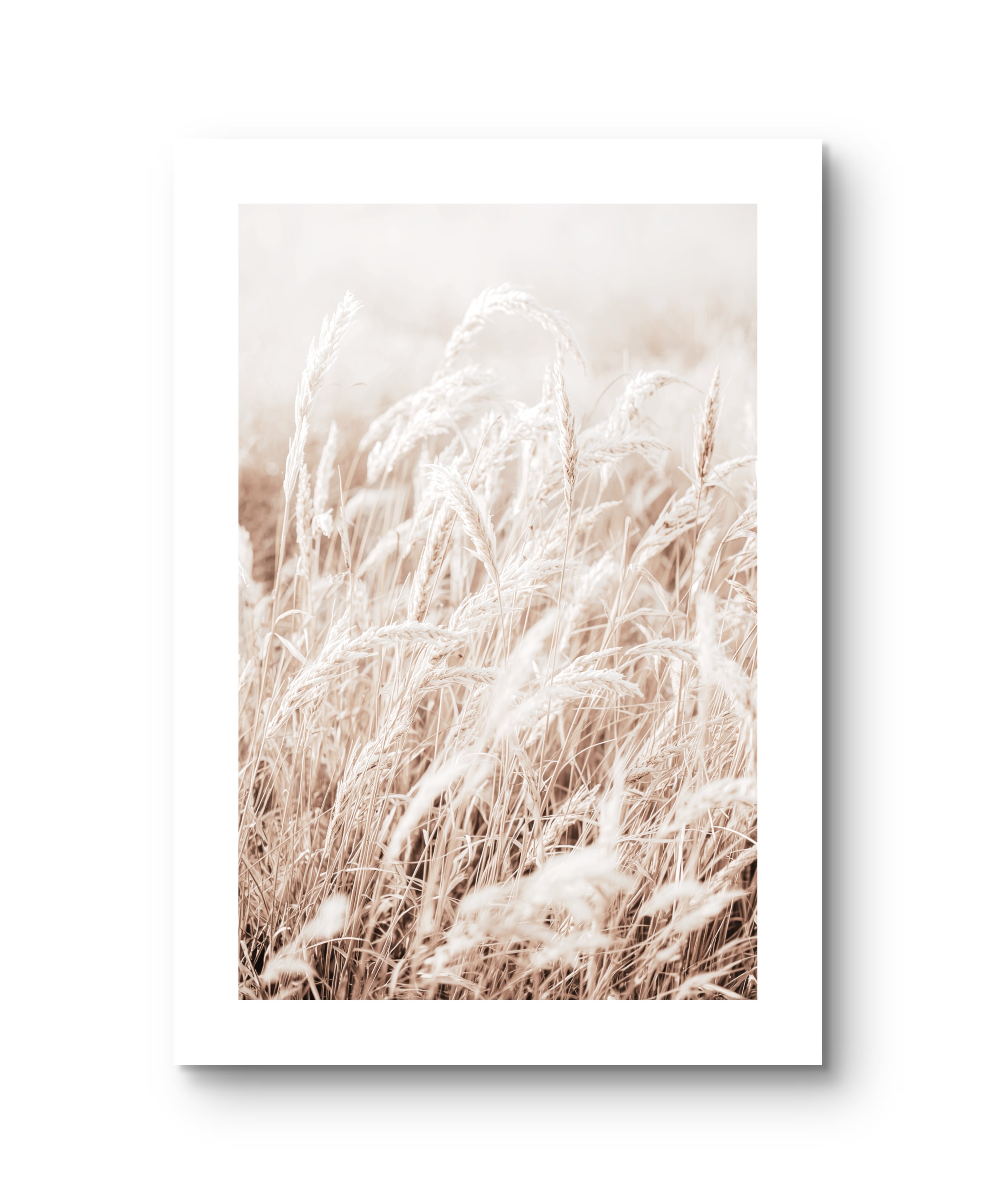 Light Grain