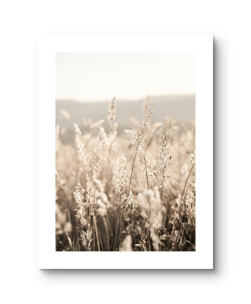 Wiese Natur