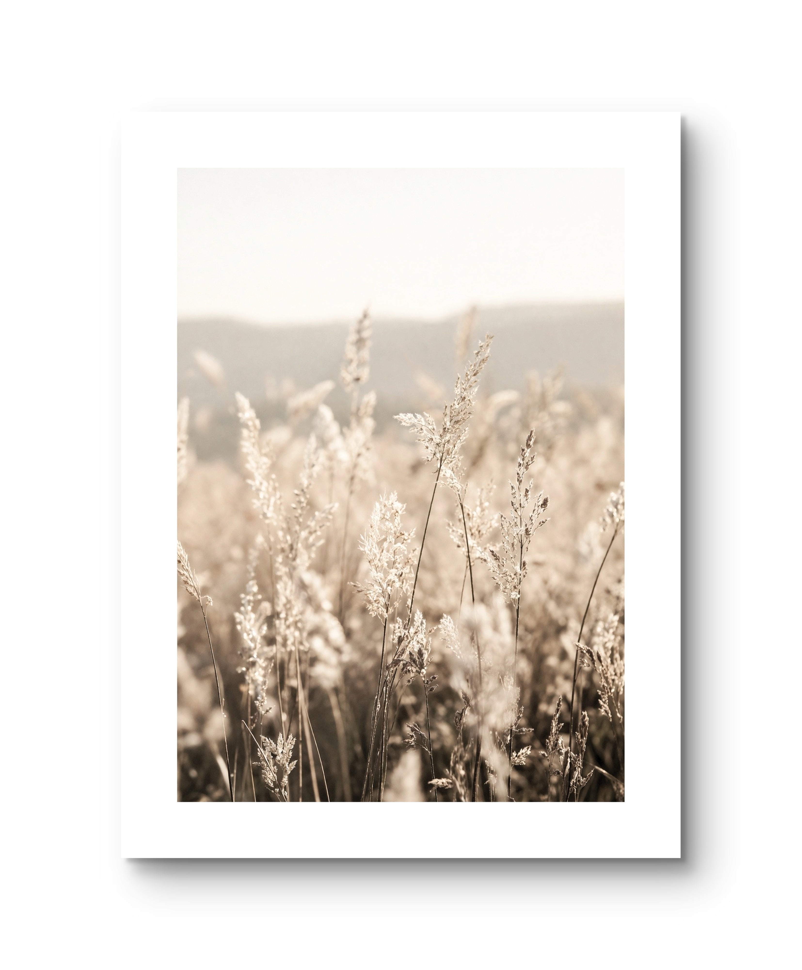 Wiese Natur