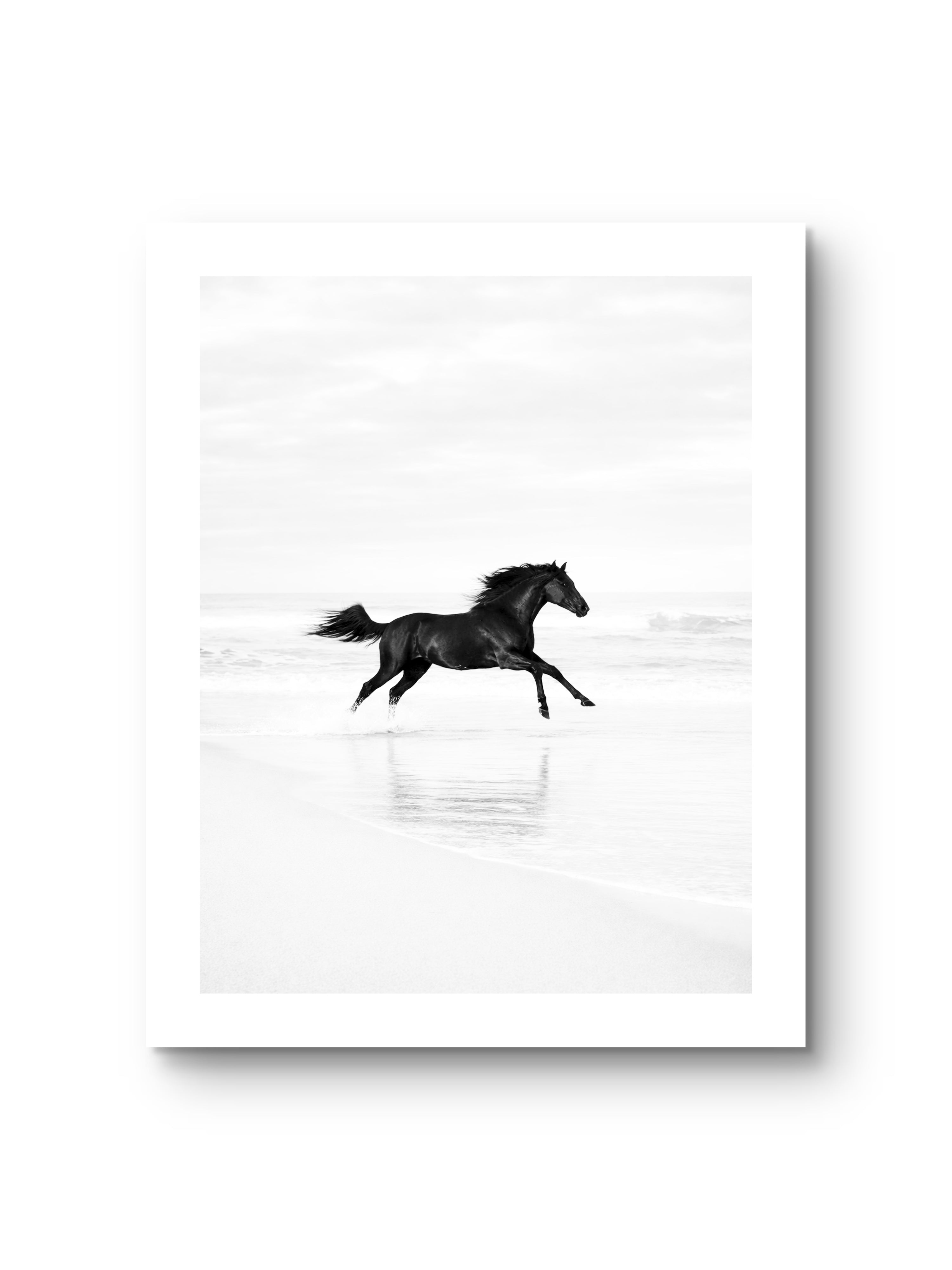 Black Horse