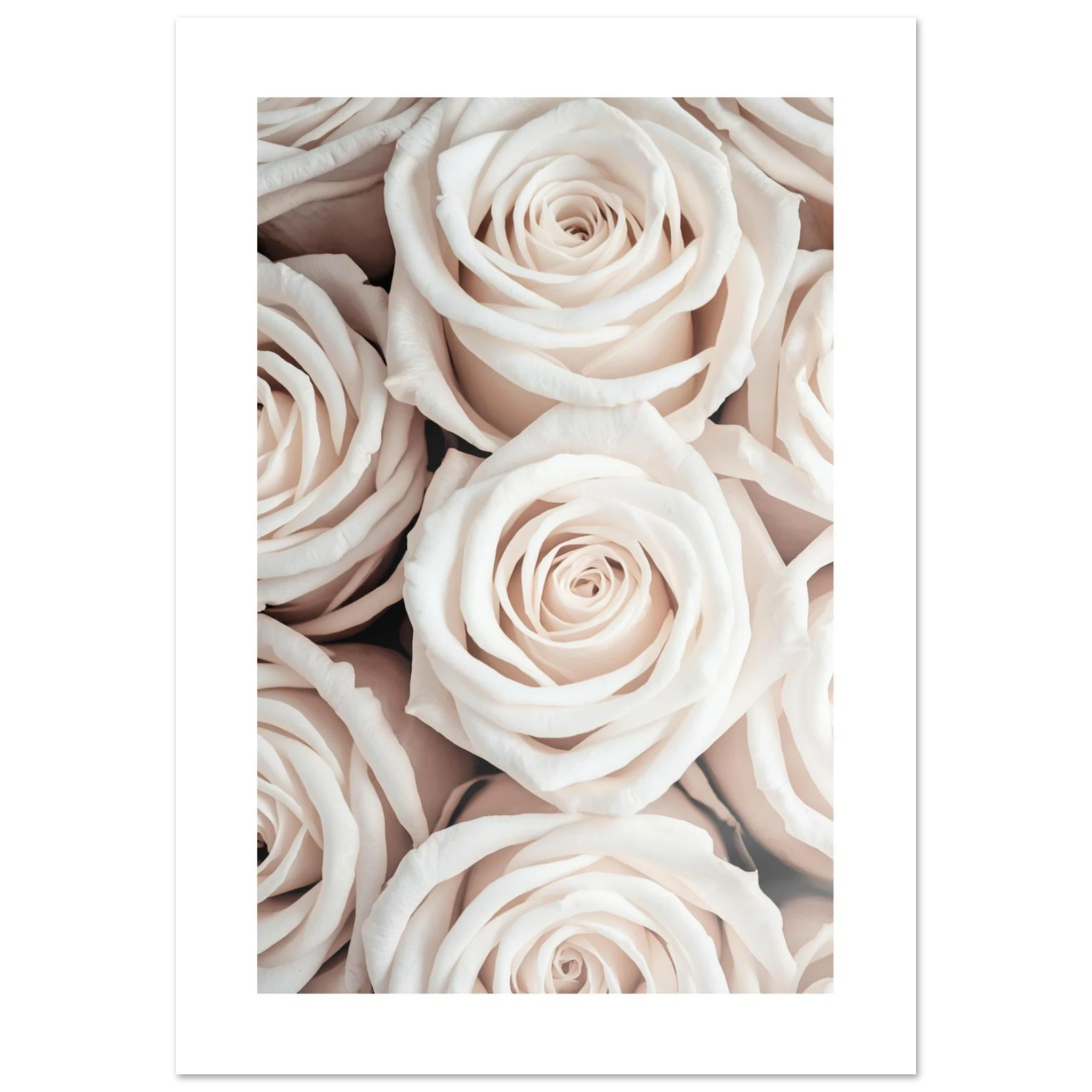6ceec5ad-f5a9-48e8-b817-bb5ca365fb2f