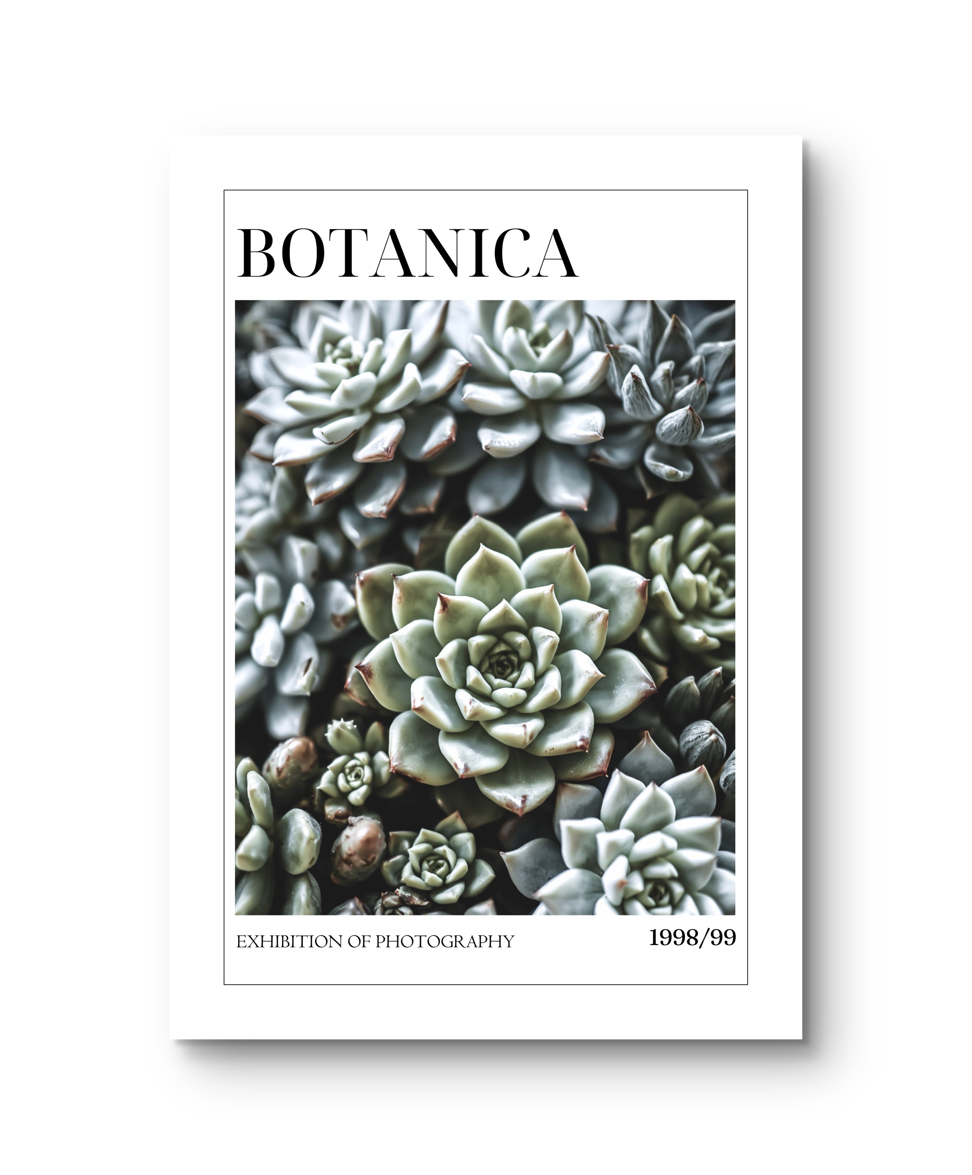 Botanica