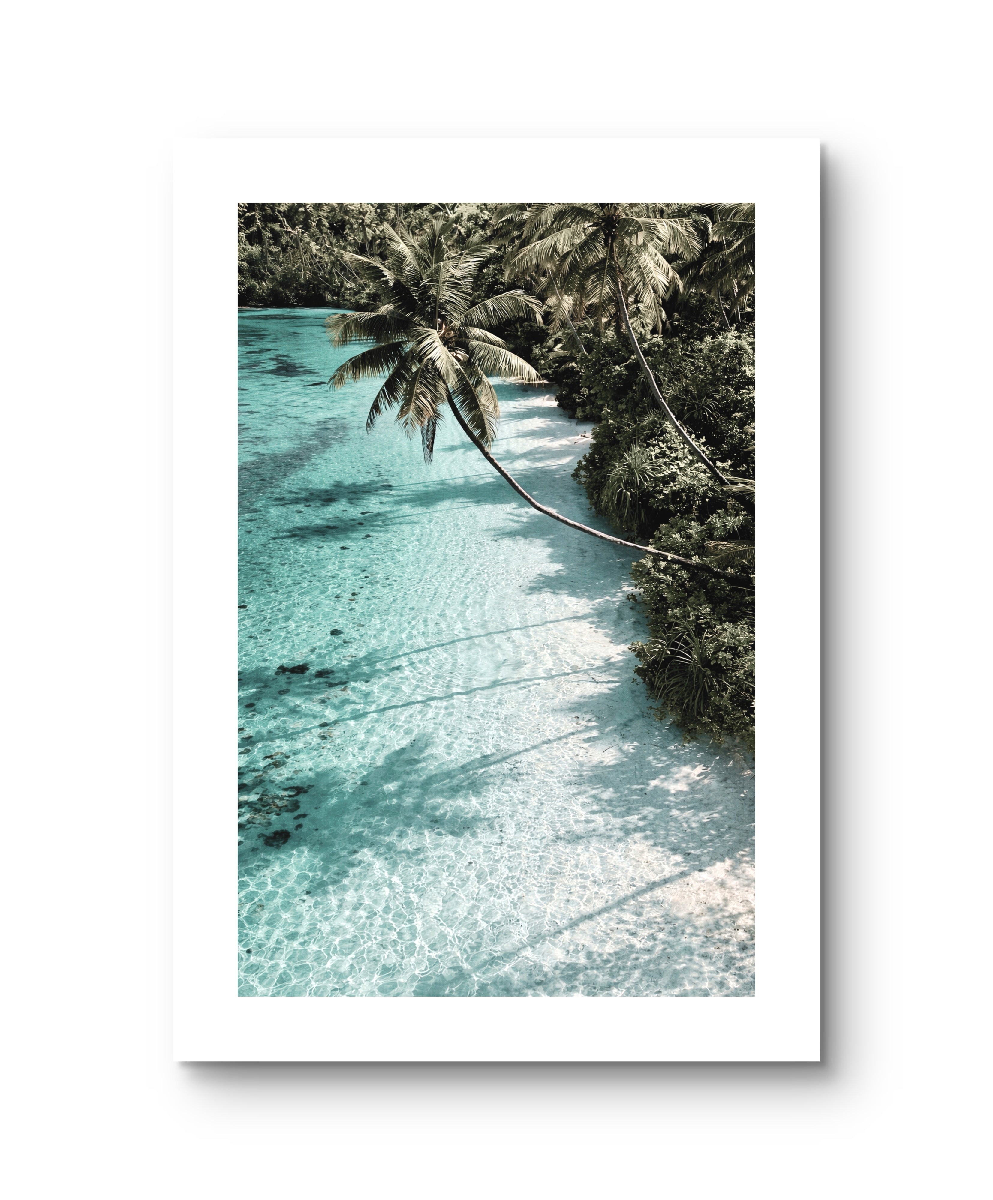Ocean Tropical