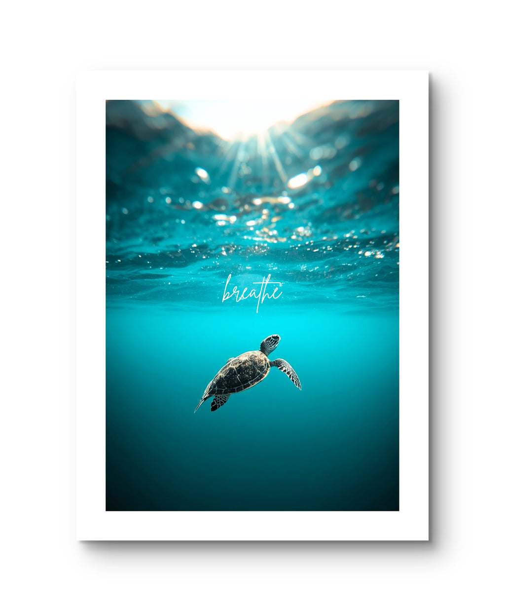 Breathe Ocean Turtle