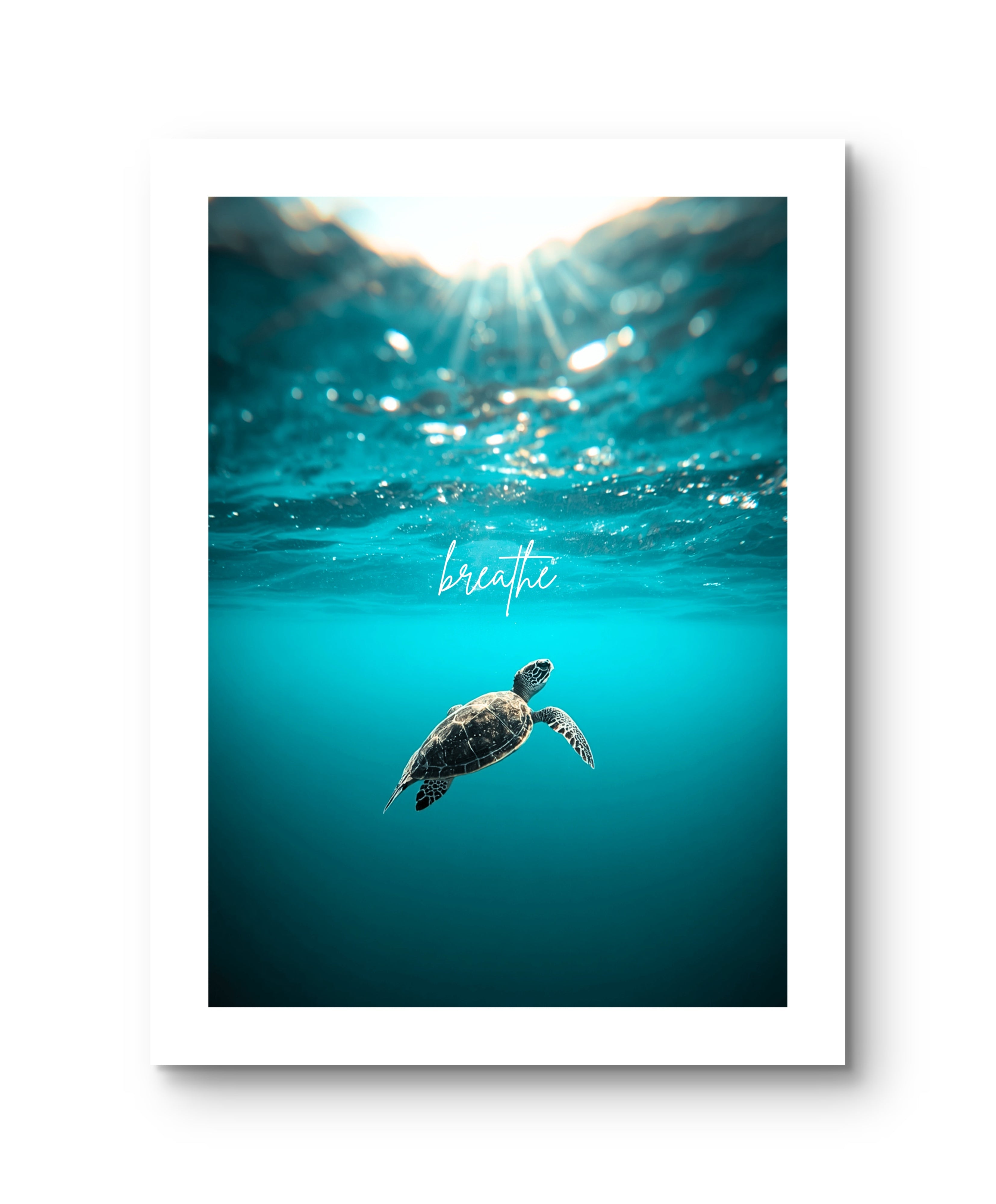 Breathe Ocean Turtle