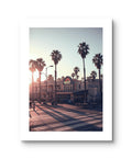 California Palm