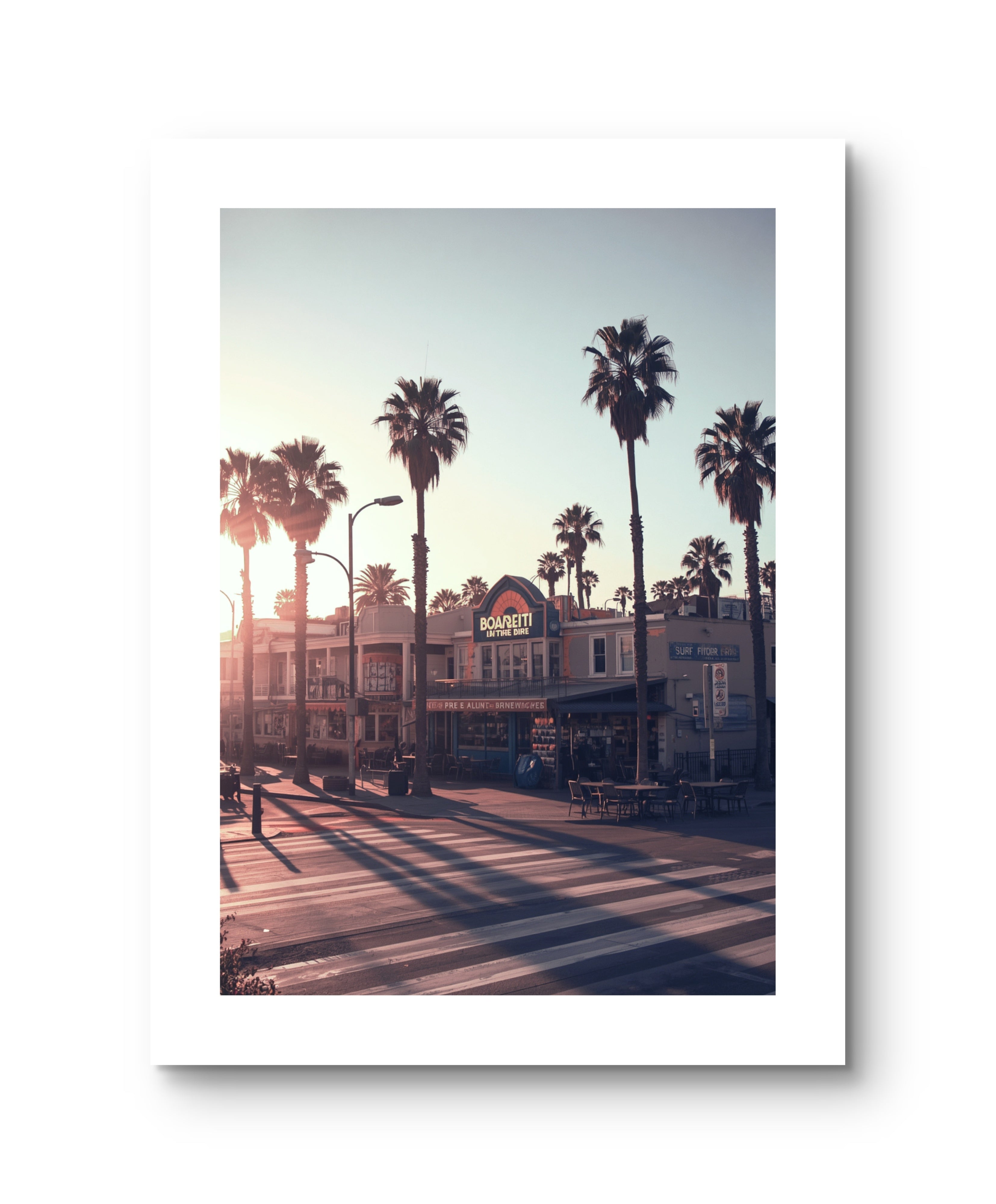 California Palm