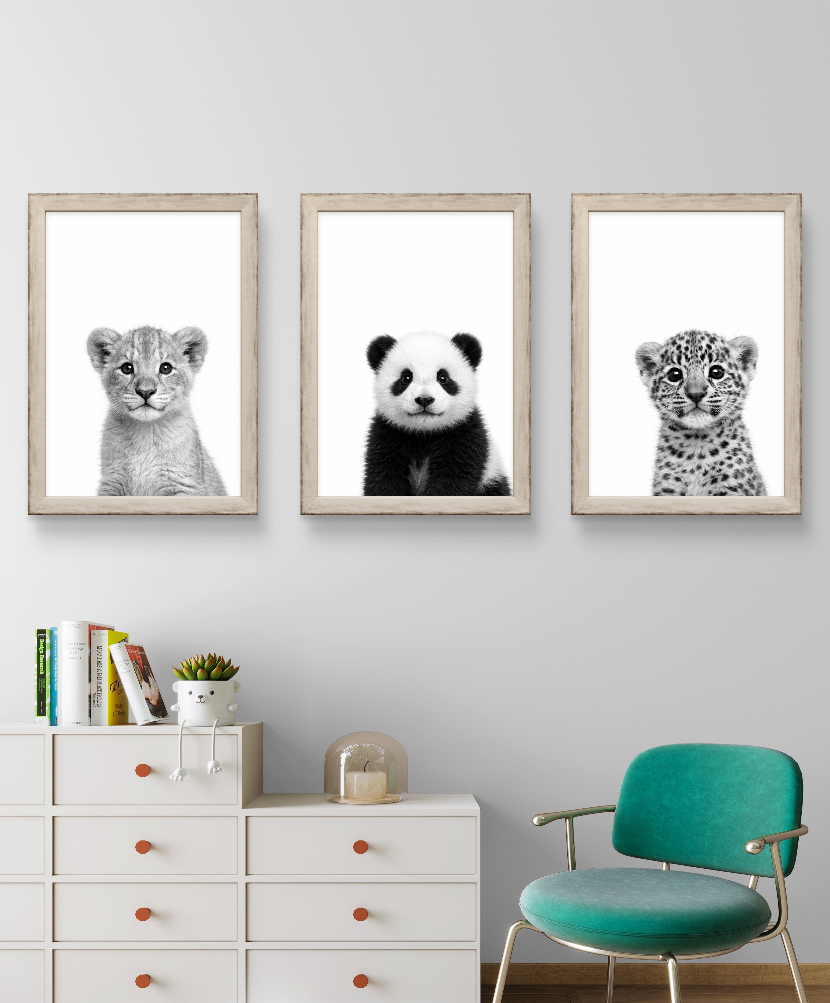 Wildlife Baby