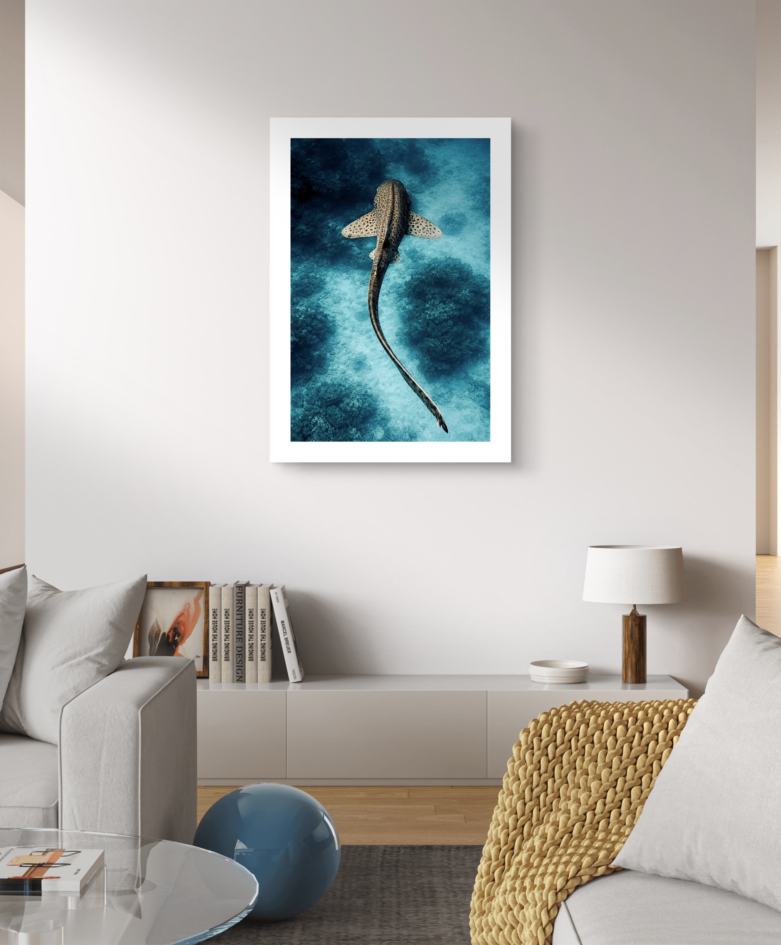 Shark Blue