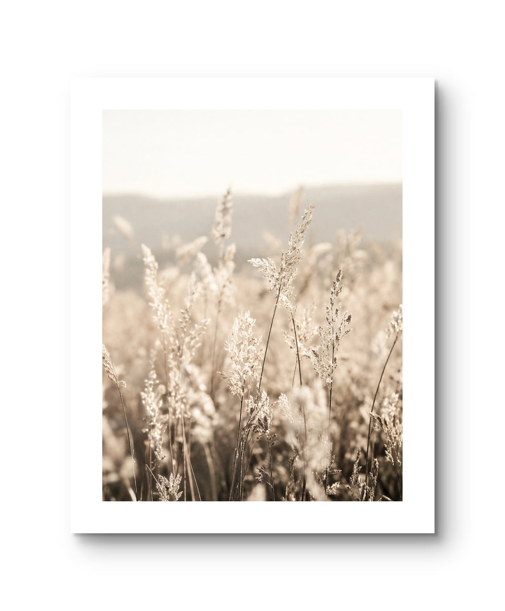 Wiese Natur