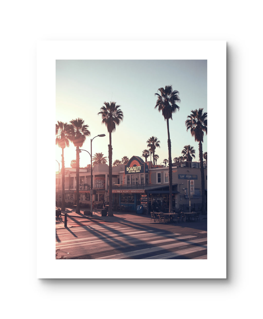 California Palm