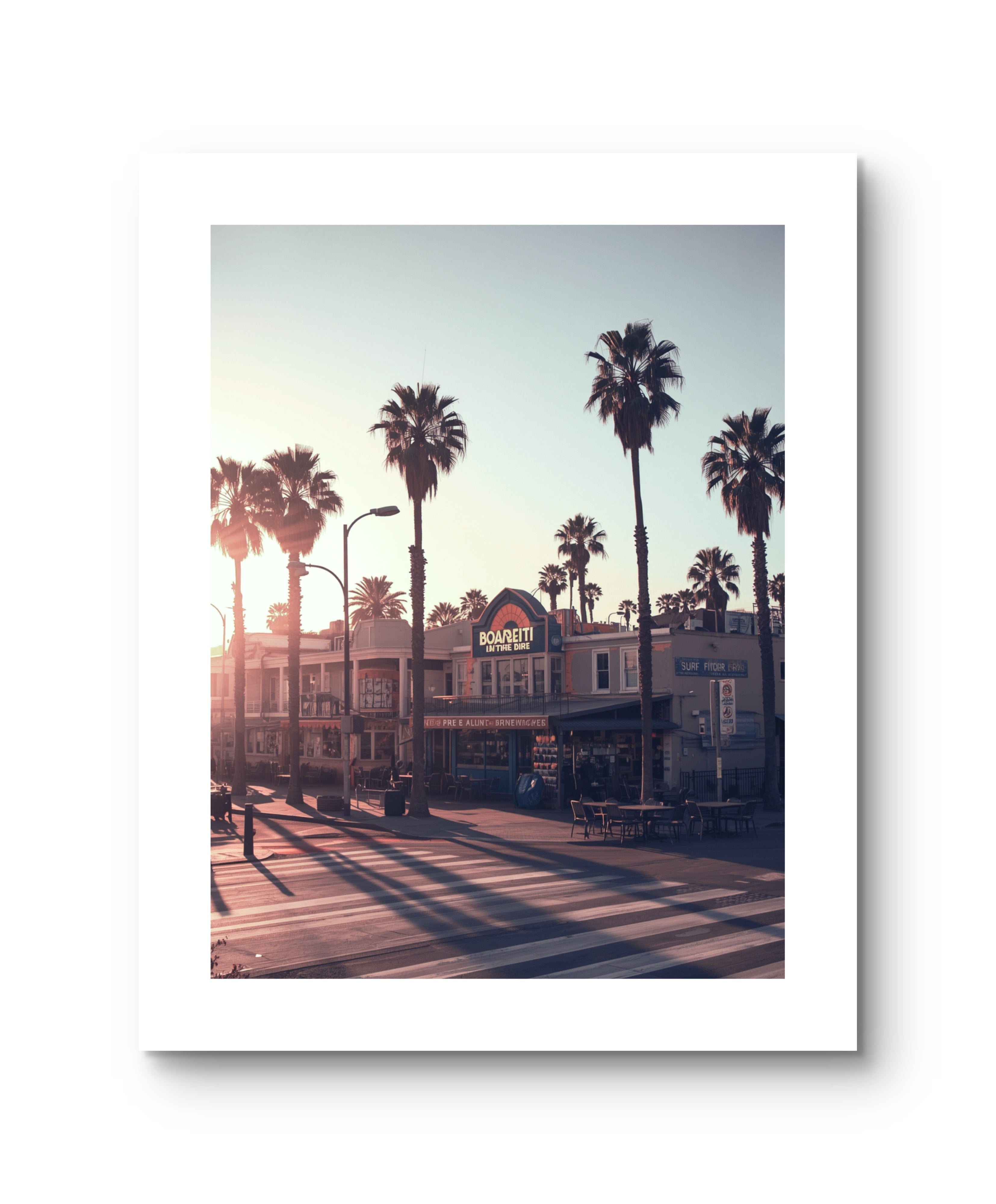 California Palm