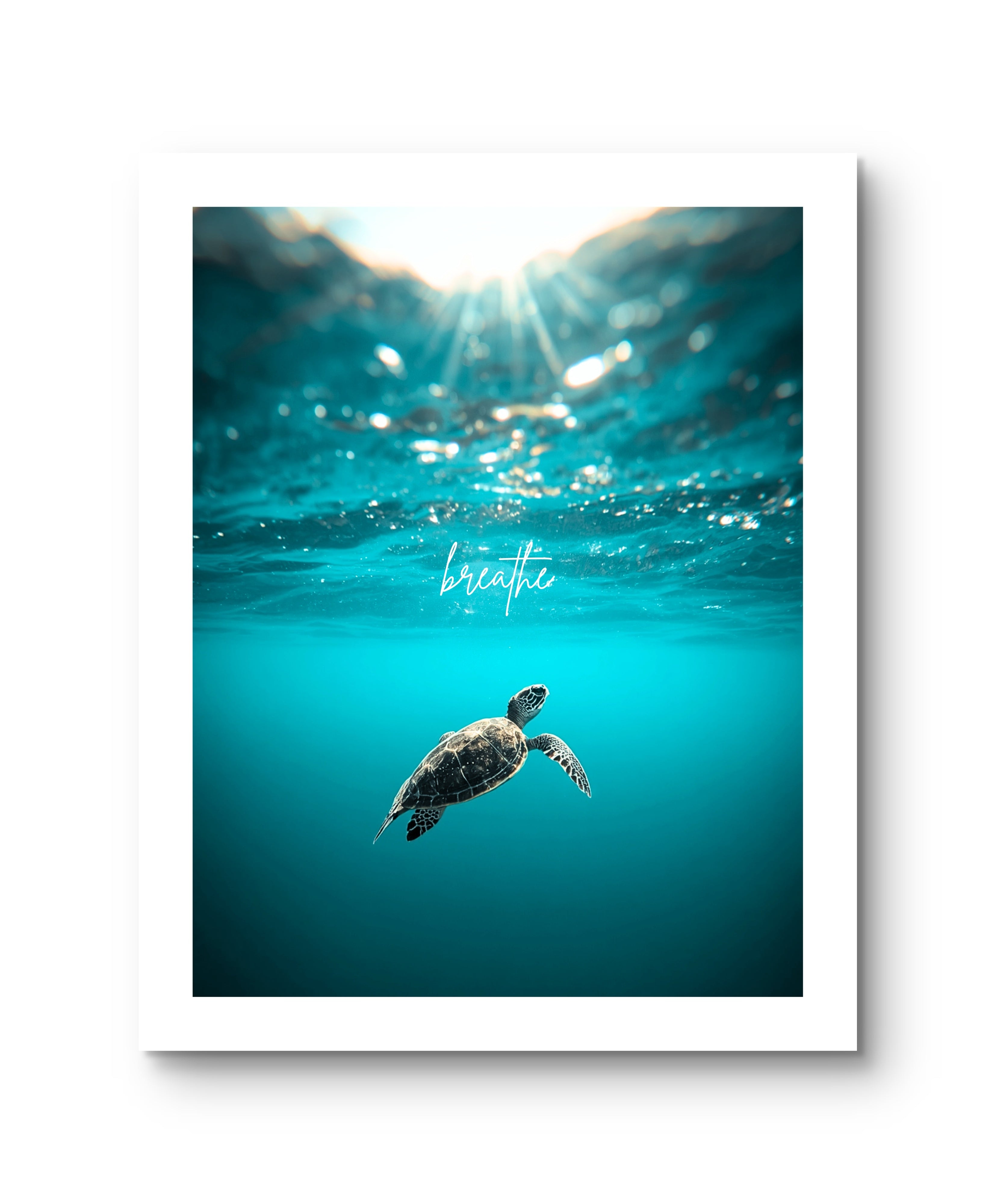 Breathe Ocean Turtle