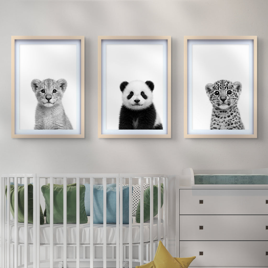 Wildlife Baby