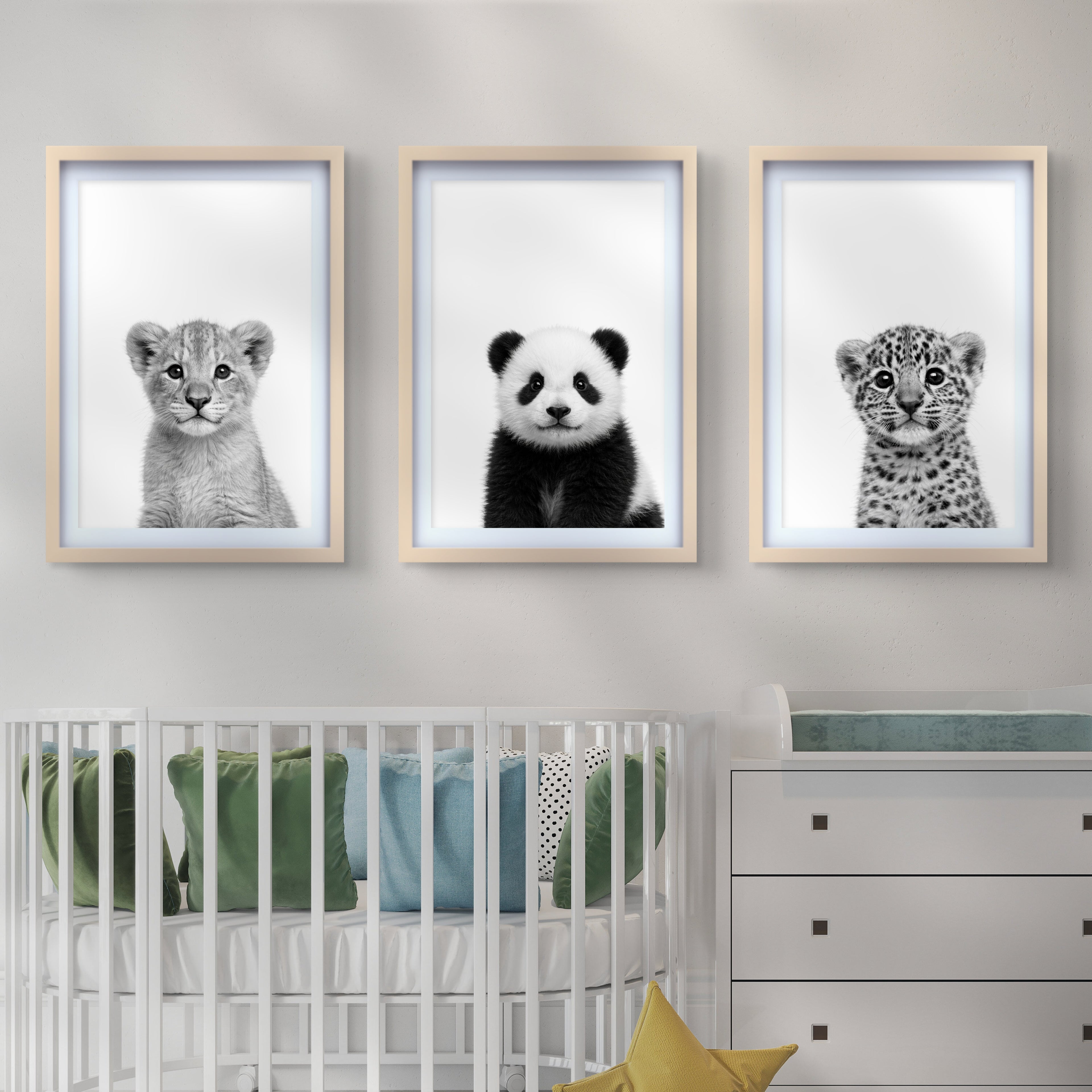 Wildlife Baby