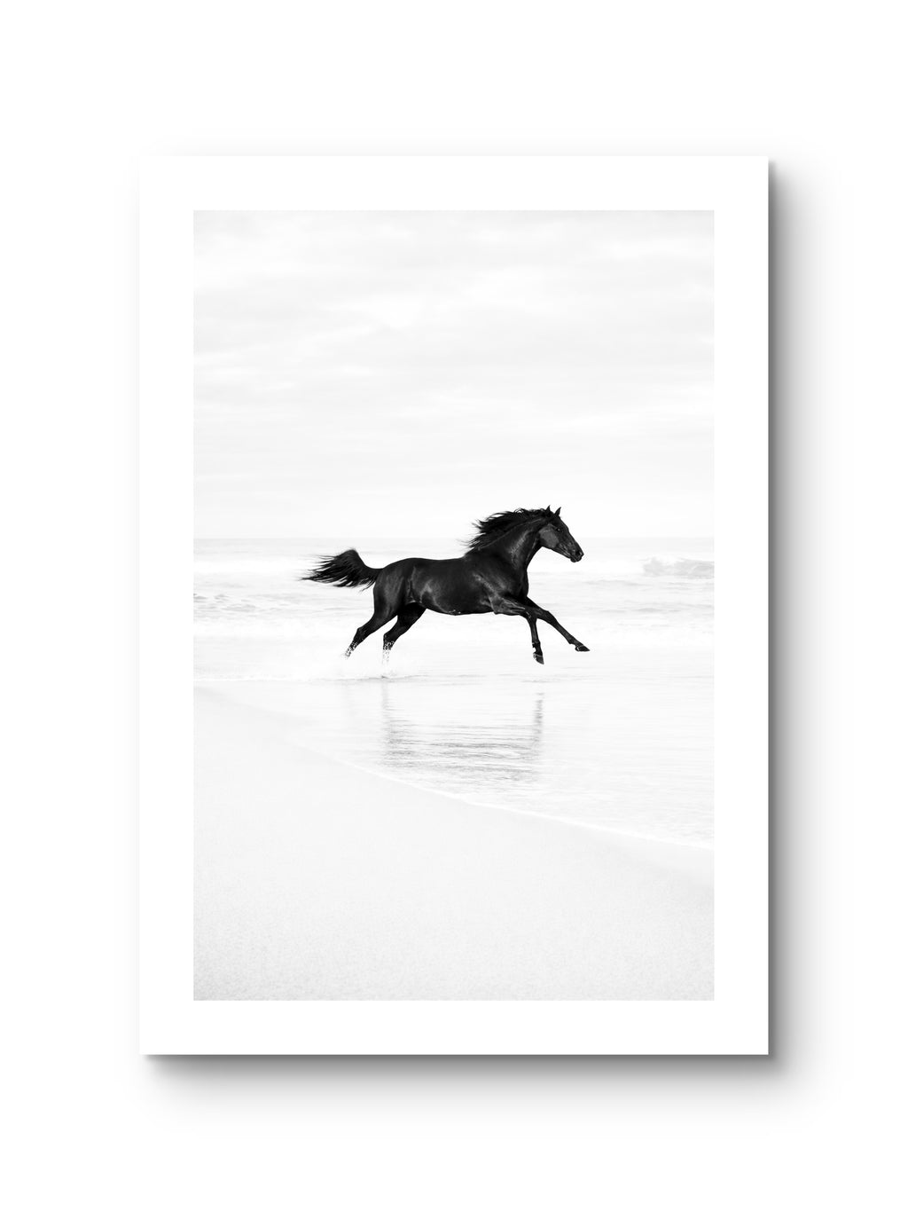 Black Horse