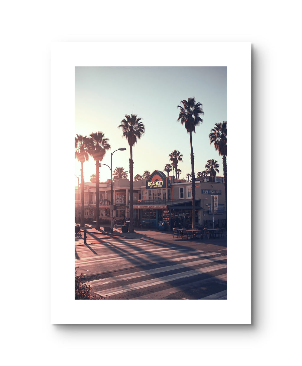 California Palm