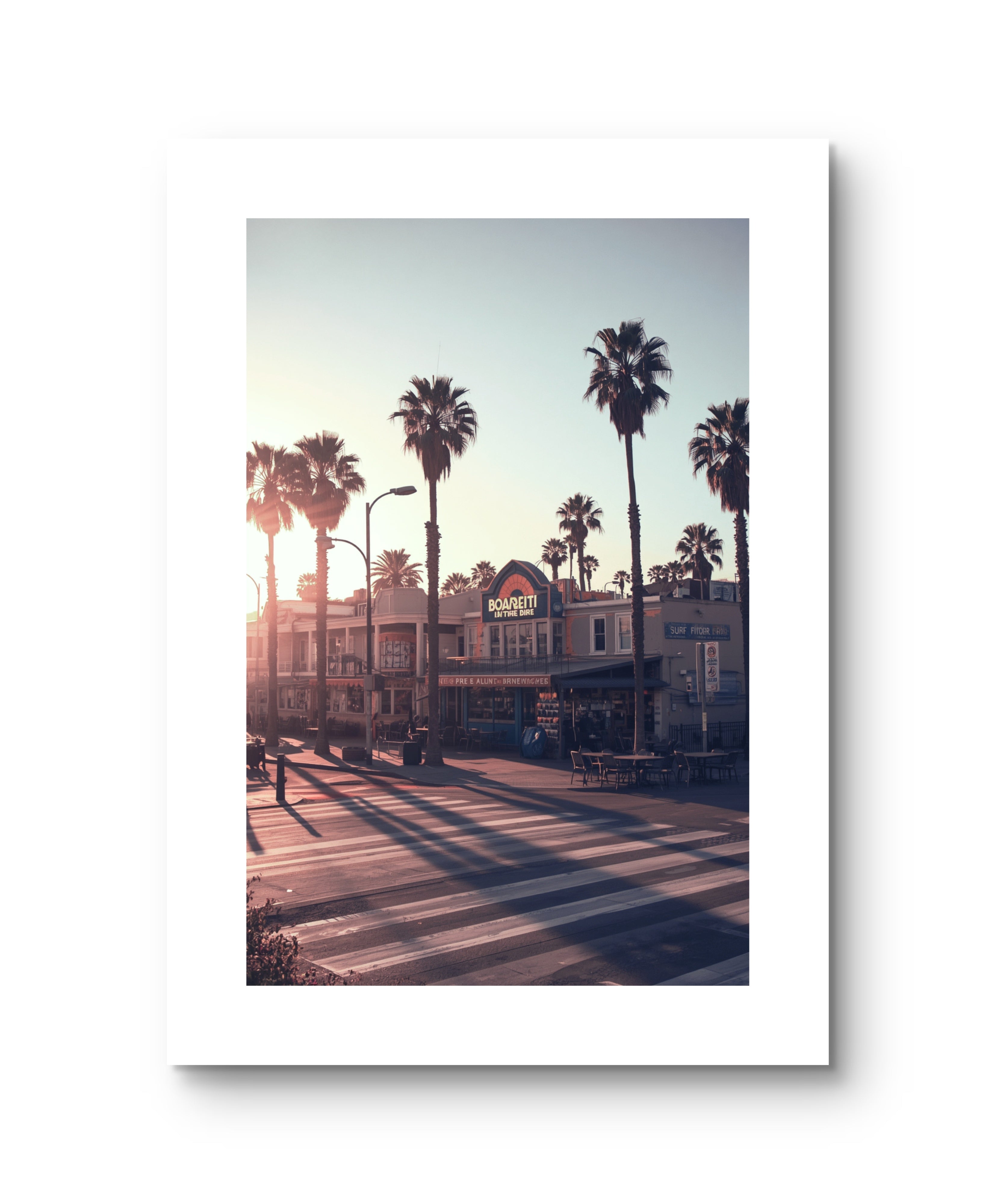 California Palm