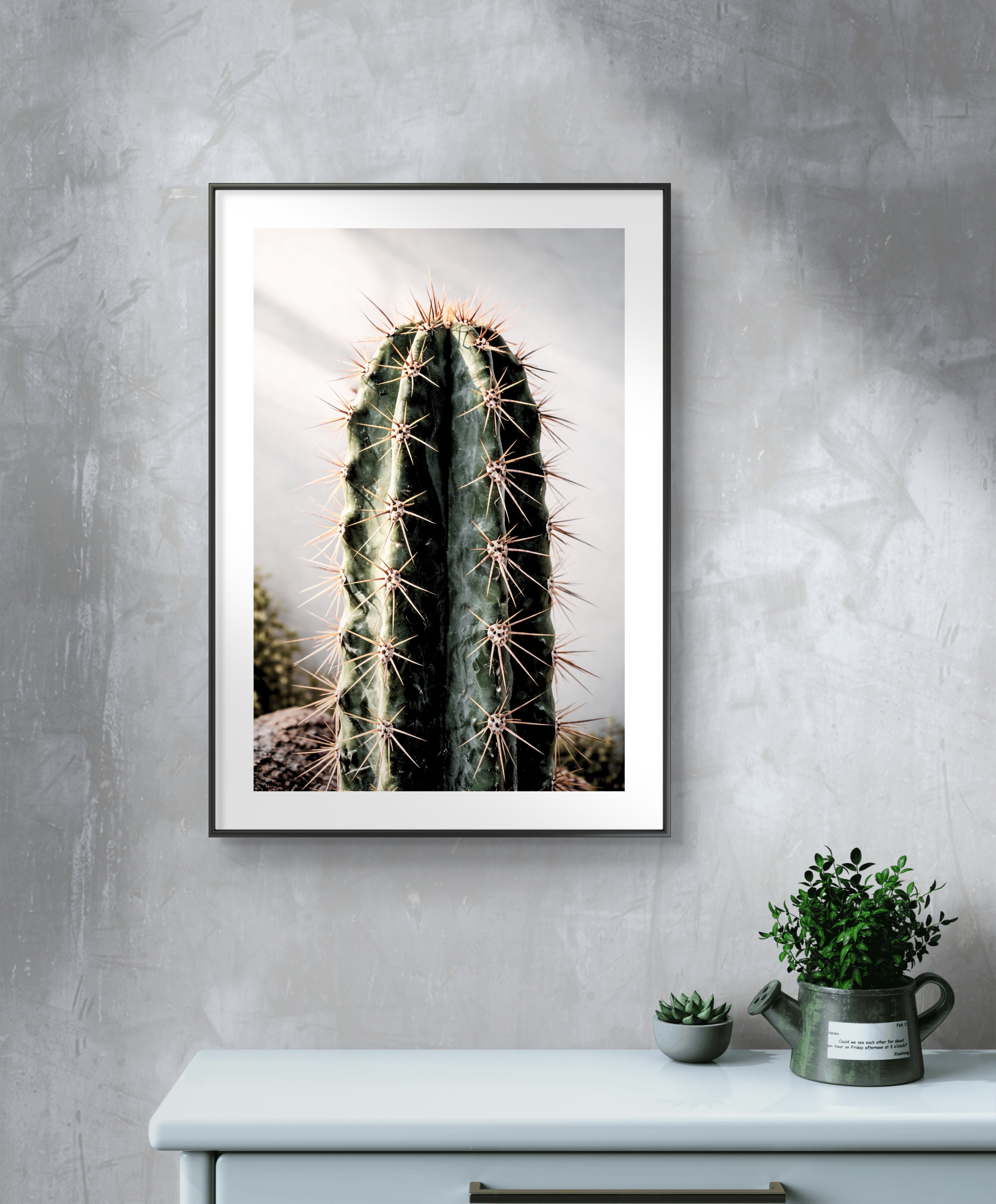 Cactus Giants