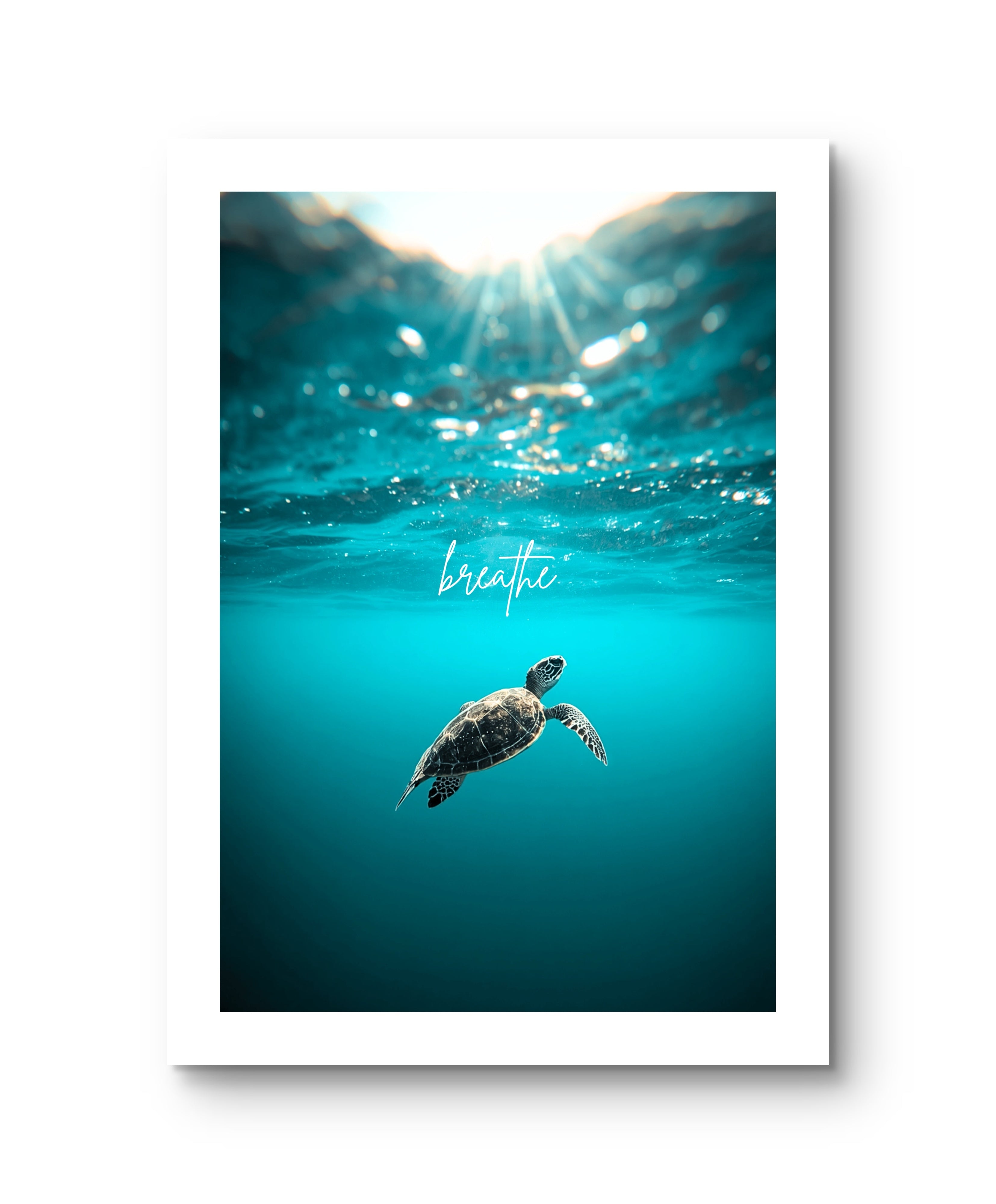 Breathe Ocean Turtle
