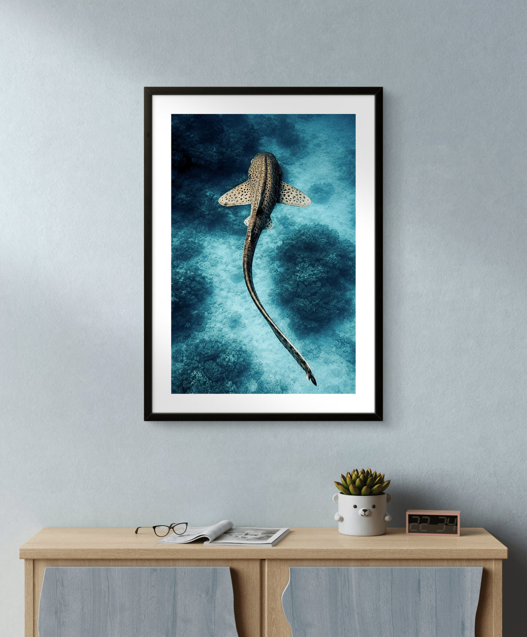 Shark Blue