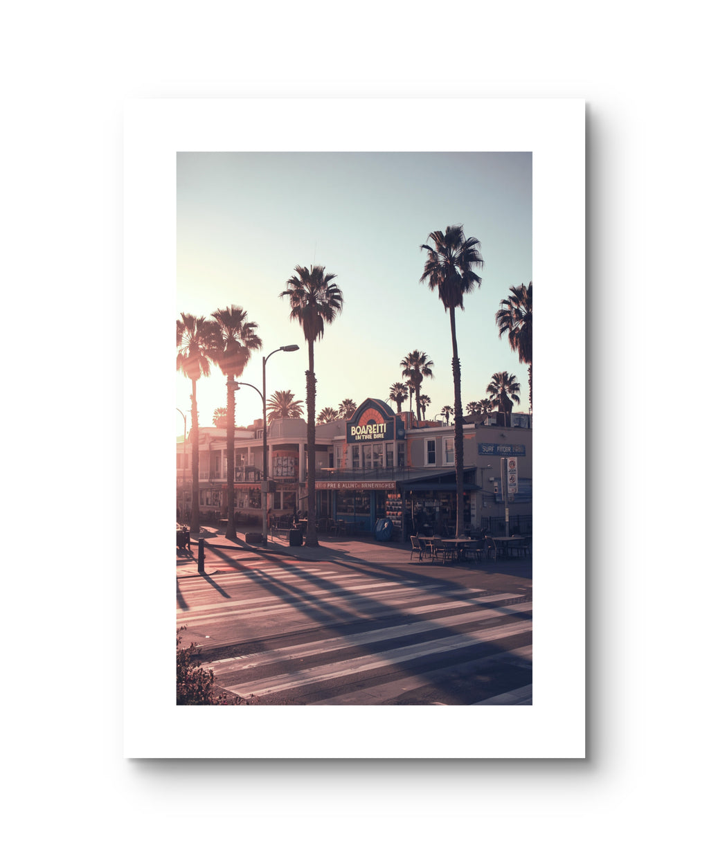 California Palm