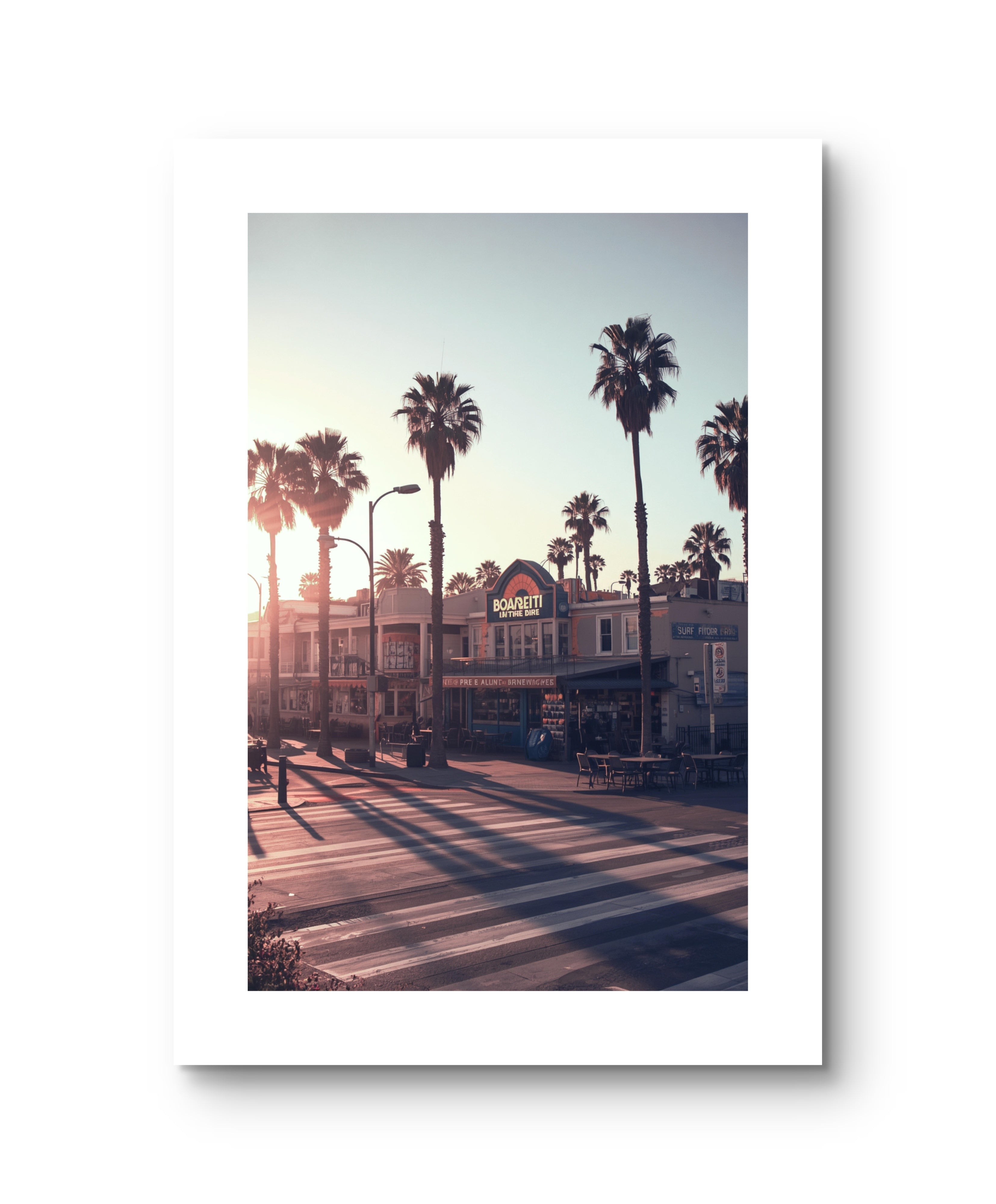 California Palm