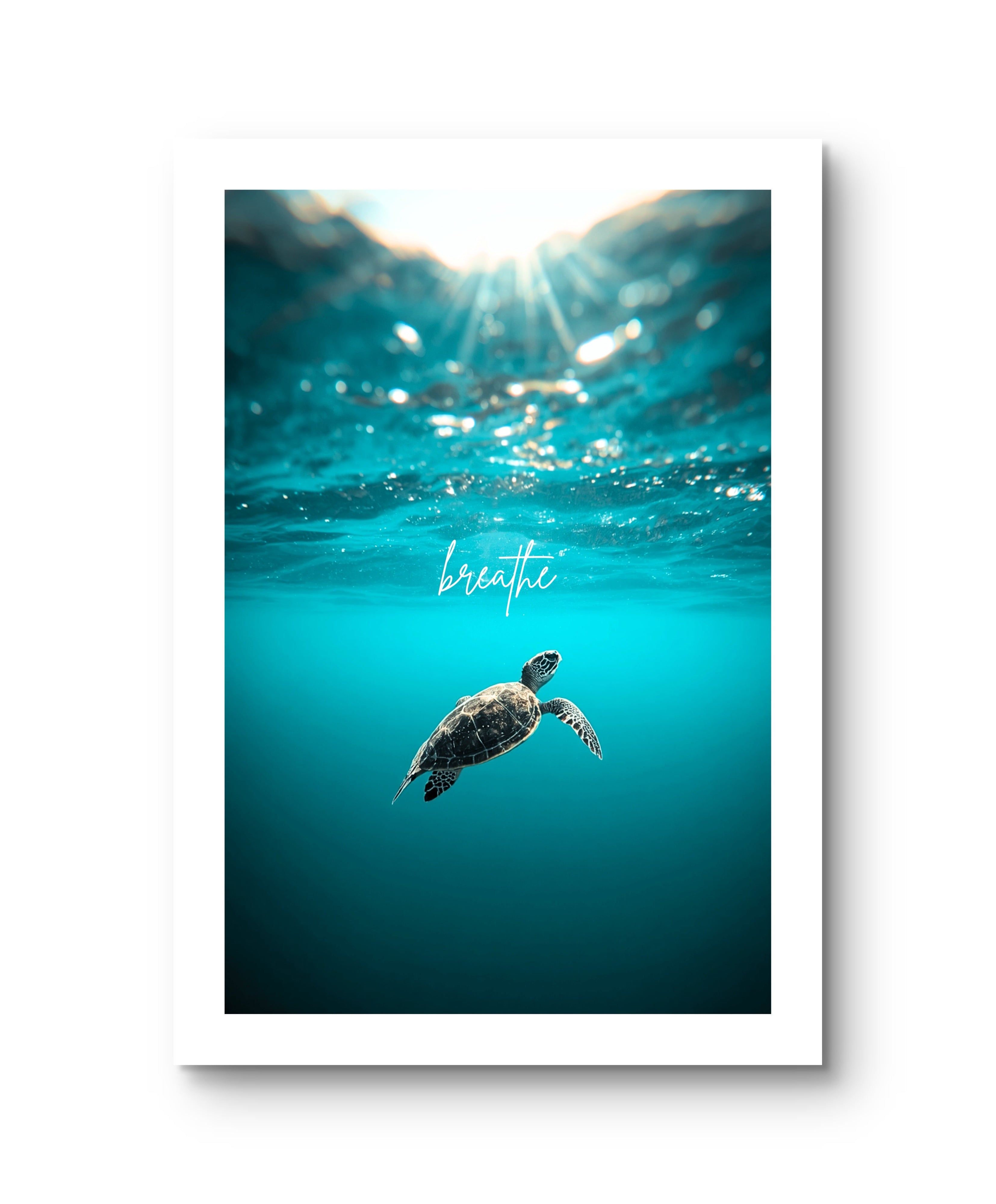 Breathe Ocean Turtle