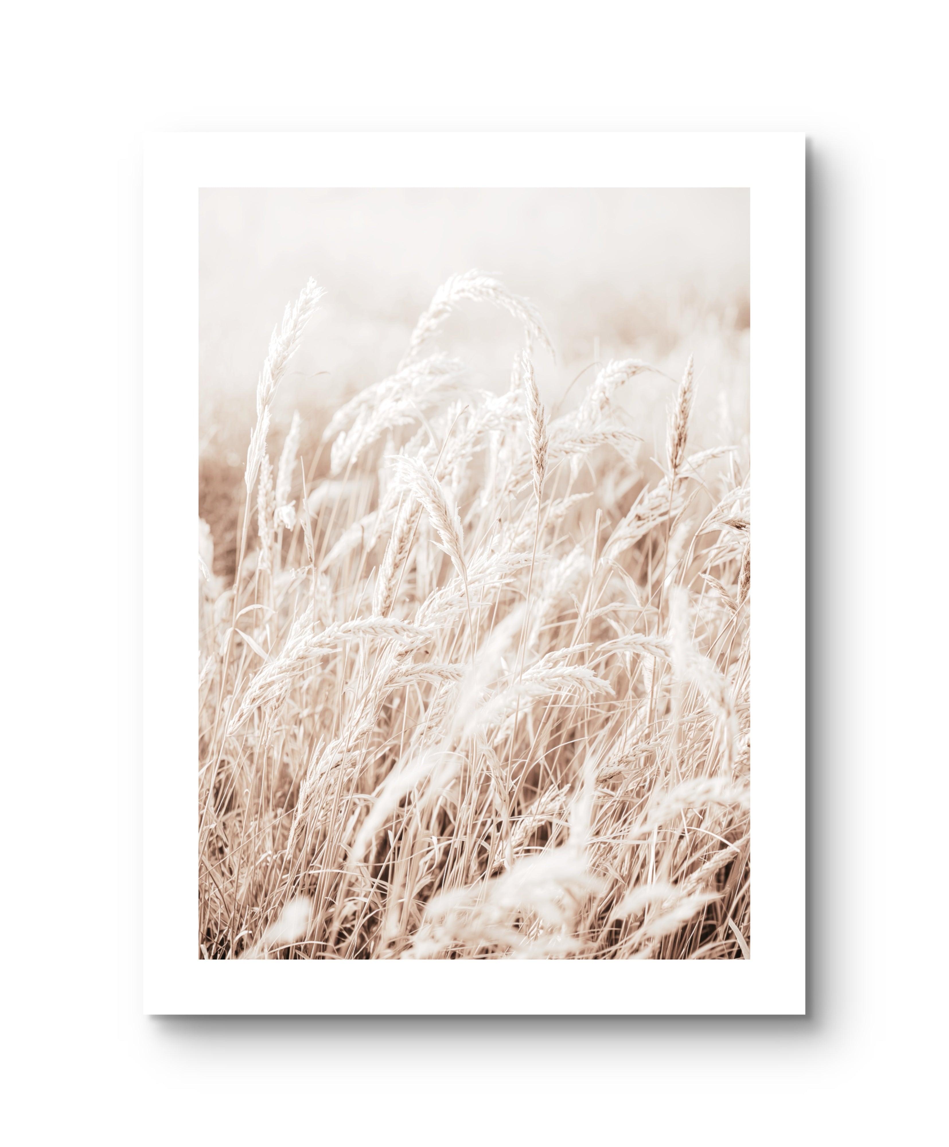 Light Grain